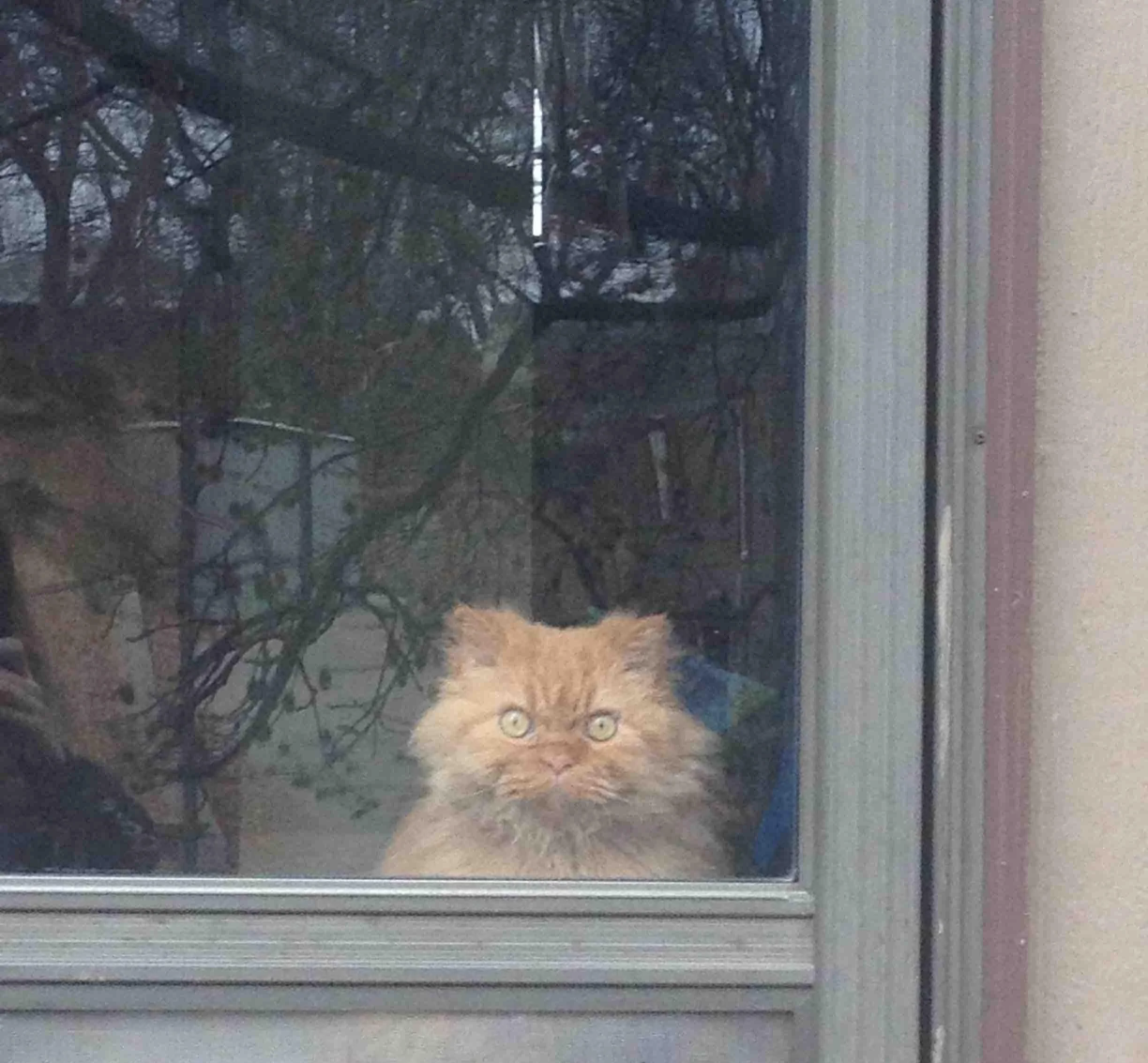 Chrisjoines1 Blank Meme Template