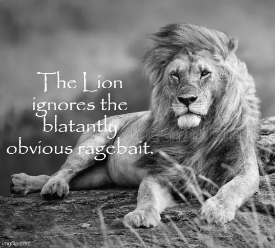 The Lion ignores the blatantly obvious ragebait. | image tagged in the lion ignores the blatantly obvious ragebait | made w/ Imgflip meme maker