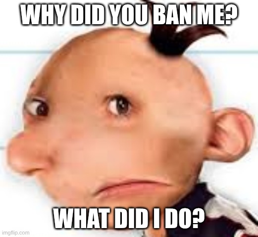 Why? | WHY DID YOU BAN ME? WHAT DID I DO? | image tagged in greg | made w/ Imgflip meme maker