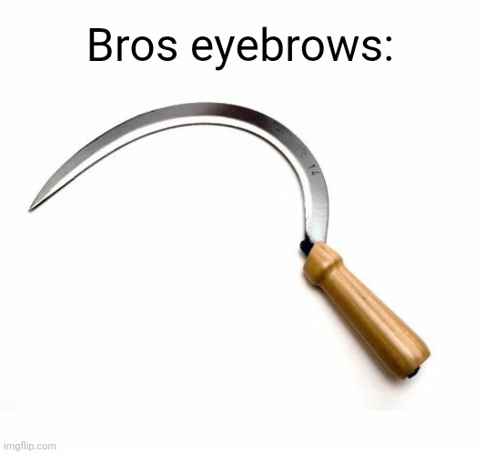 Bros eyebrows: | made w/ Imgflip meme maker