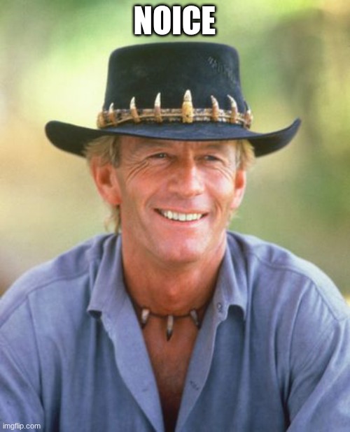 Noice! | NOICE | image tagged in noice | made w/ Imgflip meme maker