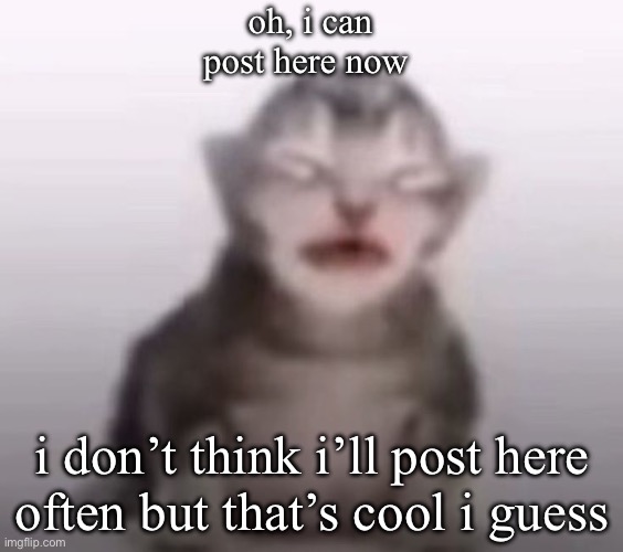 i’d rather post in other streams but i guess this is nice | oh, i can post here now; i don’t think i’ll post here often but that’s cool i guess | image tagged in memes,funny,cat,first post,msmg,posting | made w/ Imgflip meme maker
