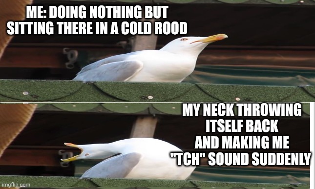 Why dody? | ME: DOING NOTHING BUT SITTING THERE IN A COLD ROOD; MY NECK THROWING ITSELF BACK AND MAKING ME "TCH" SOUND SUDDENLY | image tagged in autism | made w/ Imgflip meme maker