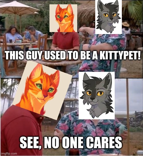 No one cares bruh (mod note: I love graystripe hes one of my favs) | THIS GUY USED TO BE A KITTYPET! SEE, NO ONE CARES | image tagged in memes,see nobody cares | made w/ Imgflip meme maker