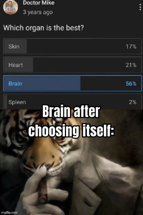 Brain | image tagged in brain,repost,reposts,memes,organ,organs | made w/ Imgflip meme maker