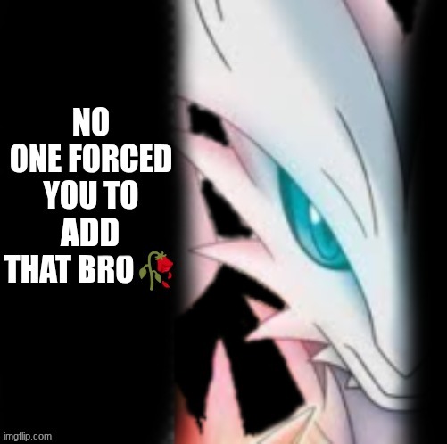 reshiram no one forced you to write that bro | ADD | image tagged in reshiram no one forced you to write that bro | made w/ Imgflip meme maker
