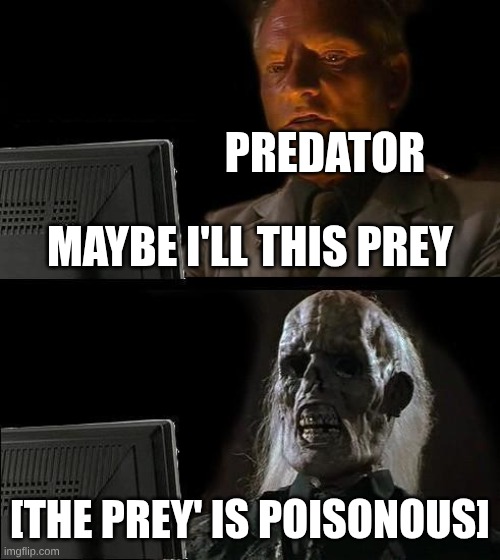 I'll Just Wait Here | PREDATOR; MAYBE I'LL THIS PREY; [THE PREY' IS POISONOUS] | image tagged in memes,i'll just wait here | made w/ Imgflip meme maker