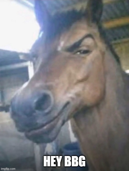 Hey bbg | HEY BBG | image tagged in funny,meme,horse,lol | made w/ Imgflip meme maker