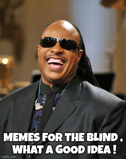 Stevie Wonder | MEMES FOR THE BLIND ,
 WHAT A GOOD IDEA ! | image tagged in stevie wonder | made w/ Imgflip meme maker