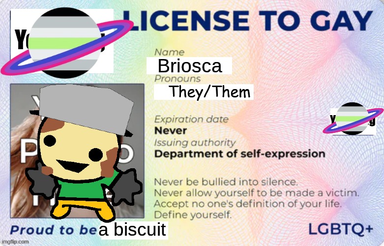 License to Gay | Briosca; They/Them; a biscuit | image tagged in license to gay | made w/ Imgflip meme maker