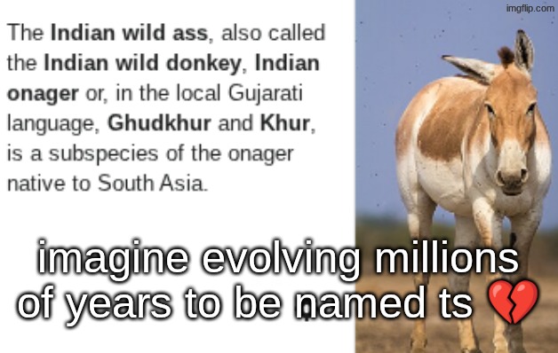 s | imagine evolving millions of years to be named ts 💔 | made w/ Imgflip meme maker