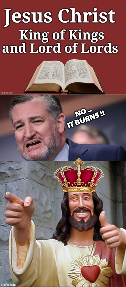 Christ is King | NO ..
IT BURNS !! | image tagged in memes,buddy christ | made w/ Imgflip meme maker