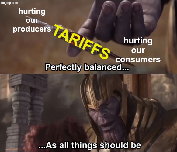 Destroying trade relationships | hurting
our producers; TARIFFS; hurting
our
consumers | image tagged in thanos perfectly balanced as all things should be | made w/ Imgflip meme maker