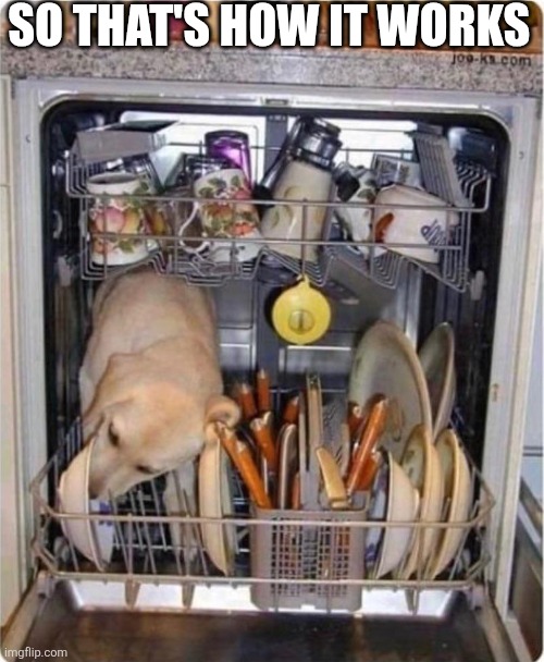 So That's How It Works | SO THAT'S HOW IT WORKS | image tagged in chrisjoines1 | made w/ Imgflip meme maker