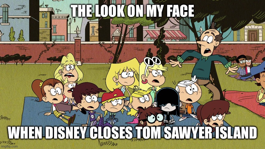 Anyone miss Tom Sawyer Island? | THE LOOK ON MY FACE; WHEN DISNEY CLOSES TOM SAWYER ISLAND | image tagged in disney world | made w/ Imgflip meme maker