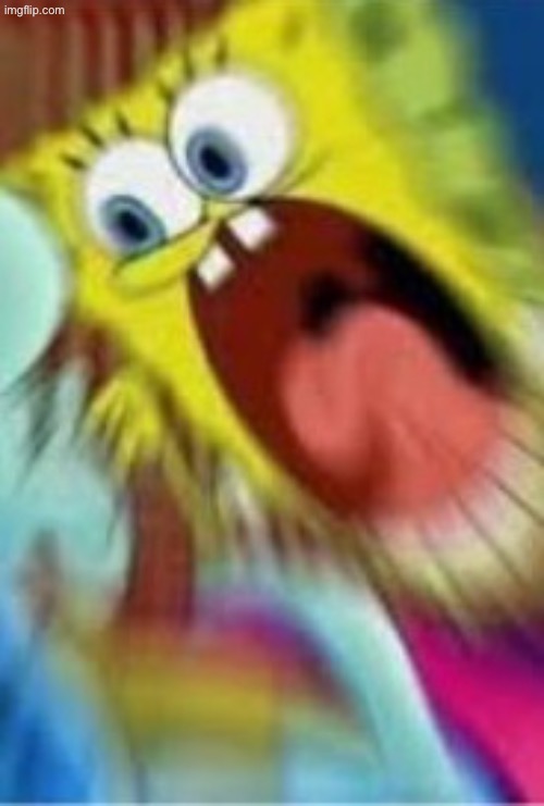 Yelling Spongebob | image tagged in yelling spongebob | made w/ Imgflip meme maker