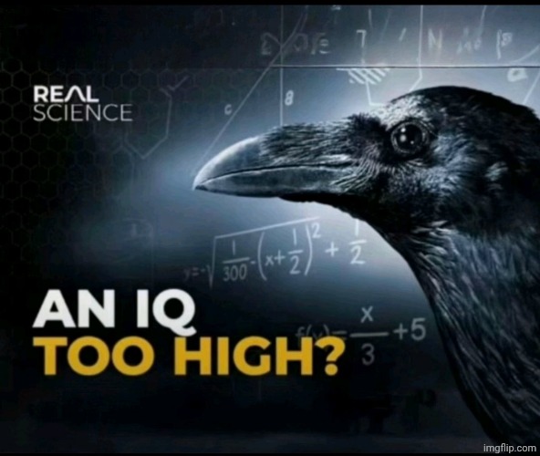 an iq too high? | image tagged in an iq too high | made w/ Imgflip meme maker
