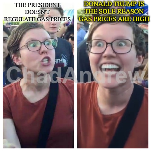 Democrats are hypocrites. Which one is it? He either controls the gas prices, or he doesn't. | DONALD TRUMP IS THE SOLE REASON GAS PRICES ARE HIGH; THE PRESIDENT DOESN'T REGULATE GAS PRICES | image tagged in social justice warrior hypocrisy,democrats,crying democrats,liberal hypocrisy | made w/ Imgflip meme maker