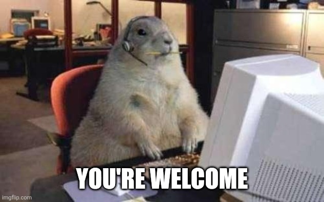 Working Groundhog | YOU'RE WELCOME | image tagged in working groundhog | made w/ Imgflip meme maker