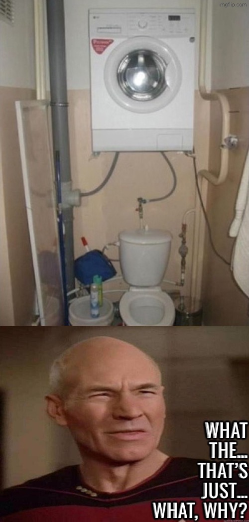 Wait, What, Why? | WHAT THE… THAT’S JUST… WHAT, WHY? | image tagged in excuse me wtf,what in the hot crispy kentucky fried frick,toilets,picard wtf,why can't you just be normal | made w/ Imgflip meme maker