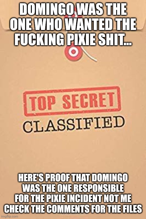 Classified Top Secret file | DOMINGO WAS THE ONE WHO WANTED THE FUCKING PIXIE SHIT... HERE'S PROOF THAT DOMINGO WAS THE ONE RESPONSIBLE FOR THE PIXIE INCIDENT NOT ME CHECK THE COMMENTS FOR THE FILES | image tagged in classified top secret file | made w/ Imgflip meme maker