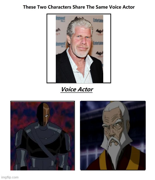 Ron Perlman | image tagged in same voice actor,ron perlman,teen titans,avatar the last airbender,dc comics,nickelodeon | made w/ Imgflip meme maker
