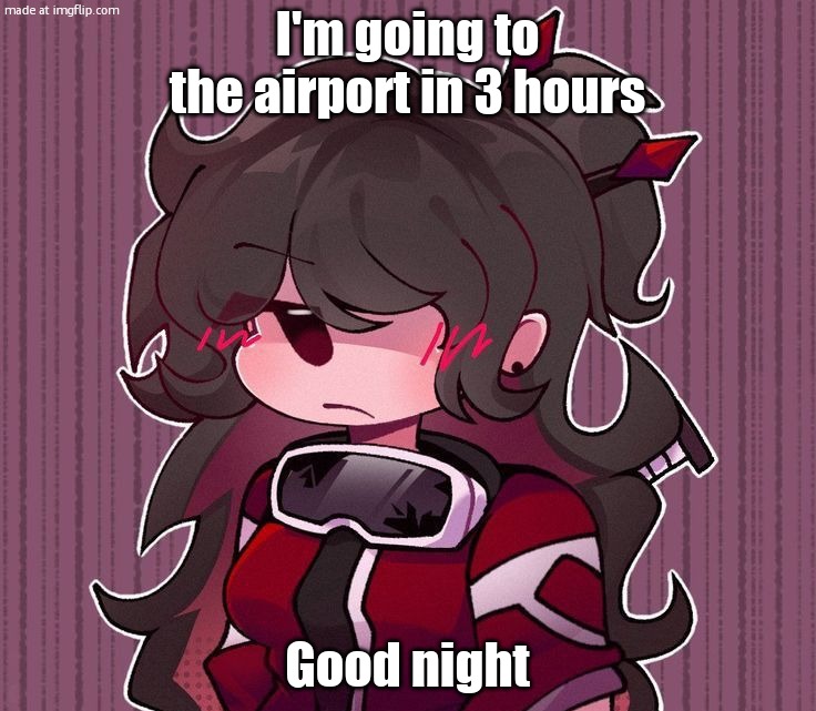God I'm so tired with work I'm going to absolutley sleep on that flight. | I'm going to the airport in 3 hours; Good night | image tagged in another goob | made w/ Imgflip meme maker