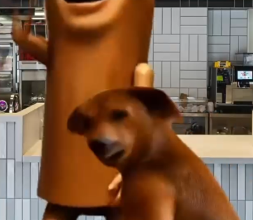 Dog looks back Blank Meme Template