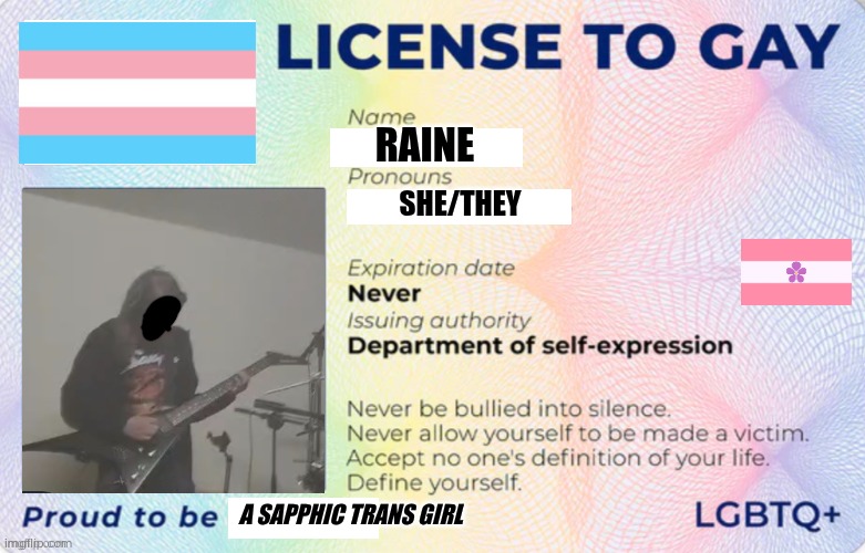 I finally got my official license to gay. It was about time! :3 | RAINE; SHE/THEY; A SAPPHIC TRANS GIRL | image tagged in license to gay | made w/ Imgflip meme maker
