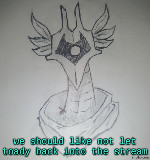 for reasons like common sense and learning from our mistakes | we should like not let toady back into the stream | image tagged in hunter temp by shadowskul | made w/ Imgflip meme maker