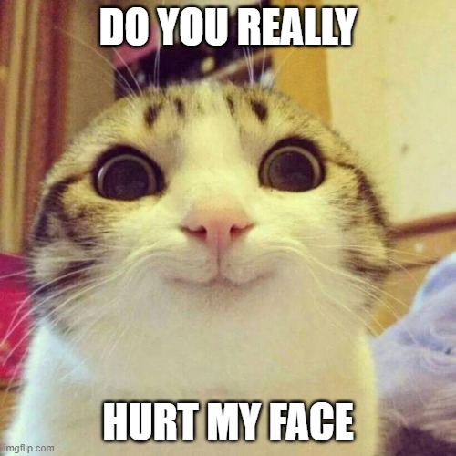 My face hurted | DO YOU REALLY; HURT MY FACE | image tagged in memes,smiling cat | made w/ Imgflip meme maker