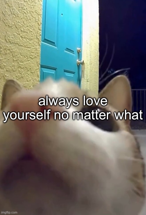 ue | always love yourself no matter what | image tagged in ue | made w/ Imgflip meme maker