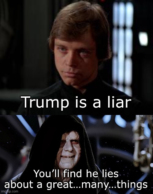 He would know | Trump is a liar; You’ll find he lies about a great…many…things | image tagged in star wars | made w/ Imgflip meme maker