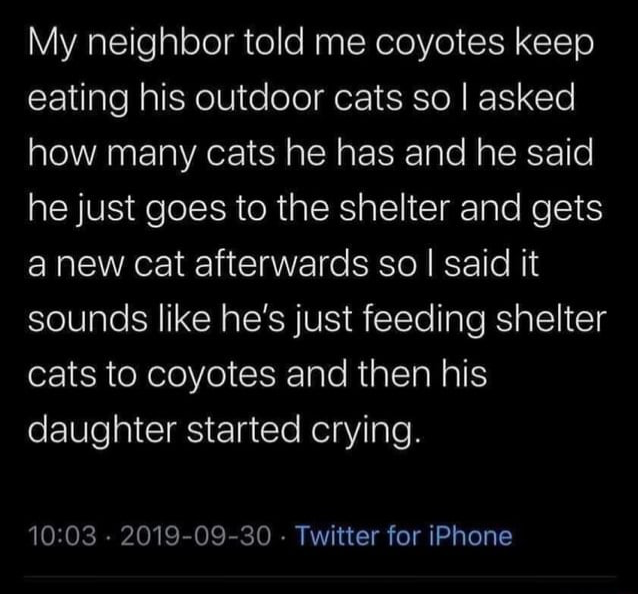 Feeding cats Blank Meme Template