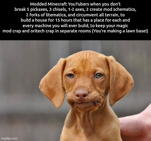 Dissapointed puppy | Modded Minecraft YouTubers when you don't break 5 pickaxes, 3 chisels, 1-2 axes, 2 create mod schematics, 2 forks of litematica, and circumvent all terrain, to build a house for 15 hours that has a place for each and every machine you will ever build, to keep your magic mod crap and oritech crap in separate rooms (You're making a lawn base!) | image tagged in dissapointed puppy | made w/ Imgflip meme maker