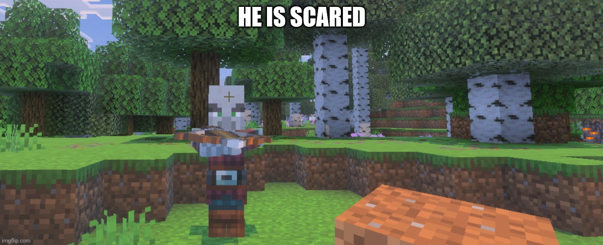 Pillager | HE IS SCARED | image tagged in pillager | made w/ Imgflip meme maker