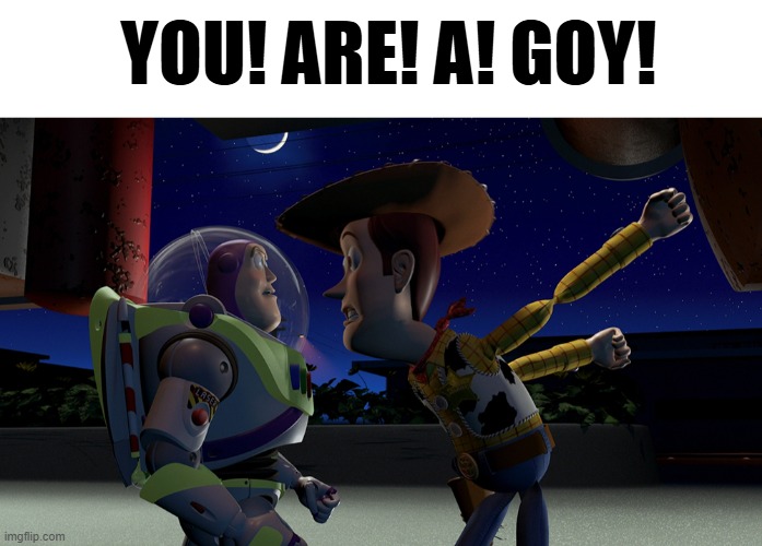 YOU! ARE! A! GOY! | image tagged in you are a toy,goy,goyim,israel,yahu,shabbos goy | made w/ Imgflip meme maker