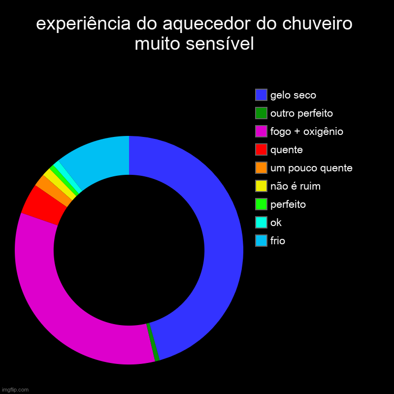 experiência do aquecedor do chuveiro muito sensível | frio, ok, perfeito, não é ruim, um pouco quente, quente, fogo + oxigênio, outro perfei | image tagged in charts,donut charts | made w/ Imgflip chart maker