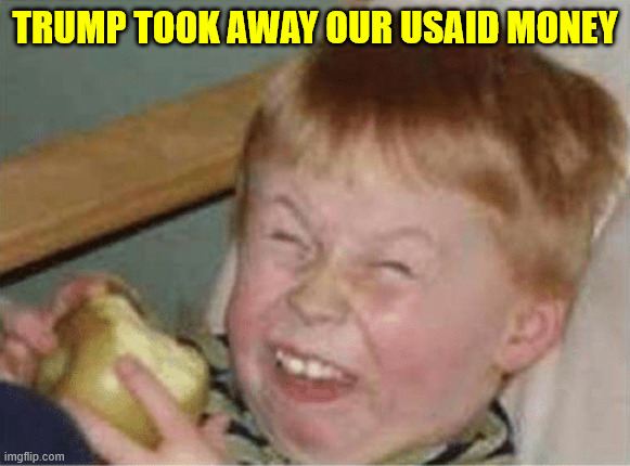 sour apple | TRUMP TOOK AWAY OUR USAID MONEY | image tagged in sour apple | made w/ Imgflip meme maker