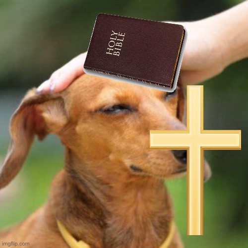 Good boy | image tagged in good boy | made w/ Imgflip meme maker