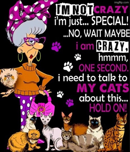 I’m Not Crazy Or Am I | image tagged in cats,funny cats,crazy cat lady,crazy people,funny memes,cat people | made w/ Imgflip meme maker