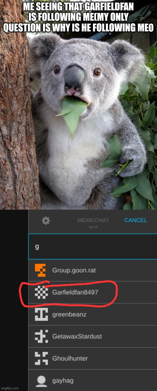 ME SEEING THAT GARFIELDFAN IS FOLLOWING ME(MY ONLY QUESTION IS WHY IS HE FOLLOWING ME0 | image tagged in memes,surprised koala | made w/ Imgflip meme maker