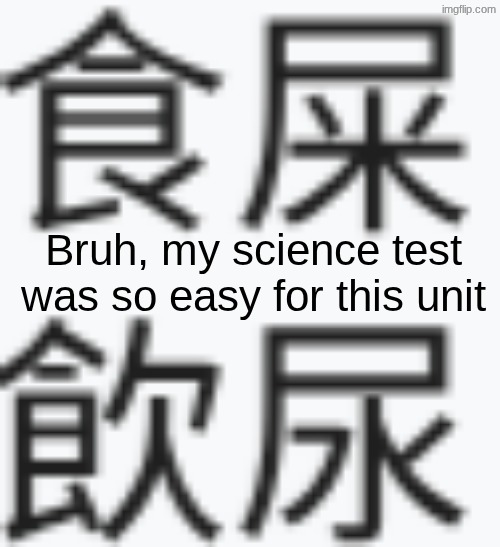 cantonese | Bruh, my science test was so easy for this unit | image tagged in cantonese | made w/ Imgflip meme maker
