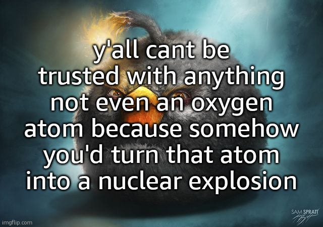 angry birds bomb | y'all cant be trusted with anything not even an oxygen atom because somehow you'd turn that atom into a nuclear explosion | image tagged in angry birds bomb | made w/ Imgflip meme maker
