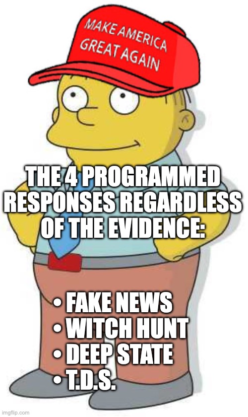Cult-like mind conditioning | THE 4 PROGRAMMED RESPONSES REGARDLESS OF THE EVIDENCE:; • FAKE NEWS
• WITCH HUNT
• DEEP STATE
• T.D.S. | image tagged in ralph wiggums trump maga,donald trump,maga,trump derangement syndrome,fake news | made w/ Imgflip meme maker