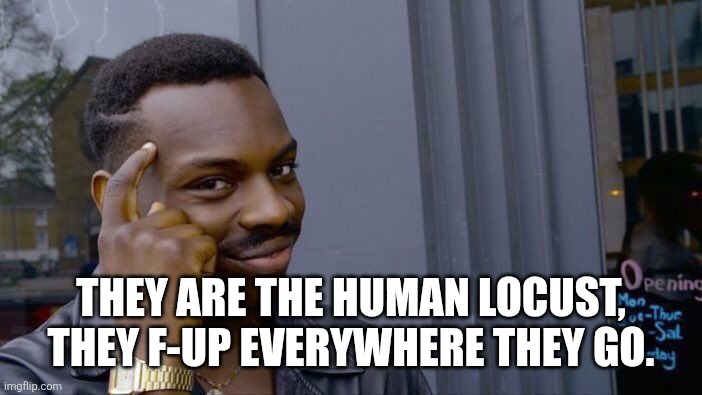 Roll Safe Think About It Meme | THEY ARE THE HUMAN LOCUST, THEY F-UP EVERYWHERE THEY GO. | image tagged in memes,roll safe think about it | made w/ Imgflip meme maker