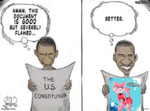 Obama Fixes Constitution | image tagged in obama fixes constitution | made w/ Imgflip meme maker