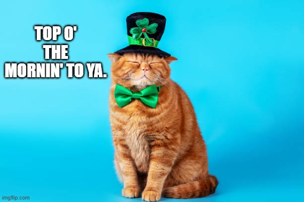 Cat says "Top of the Mornin' to ya."   --  Happy St. Patricks Day  -- | TOP O' THE MORNIN' TO YA. | image tagged in cat,kittens,funny,humor,st patricks day | made w/ Imgflip meme maker