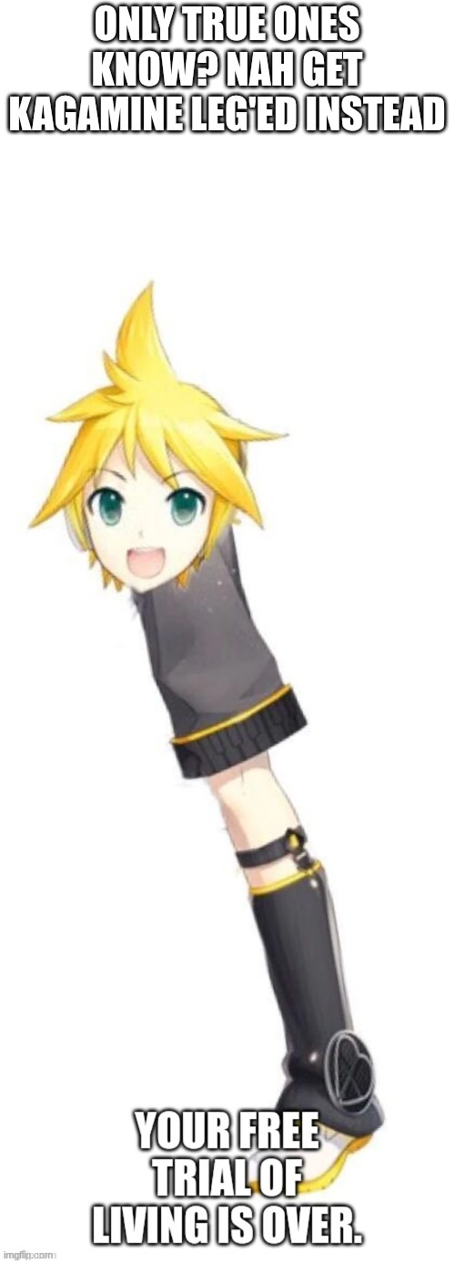 I know | ONLY TRUE ONES KNOW? NAH GET KAGAMINE LEG'ED INSTEAD | image tagged in len kagamine your free trial of living is over,only true ones know,kagamine len,len | made w/ Imgflip meme maker
