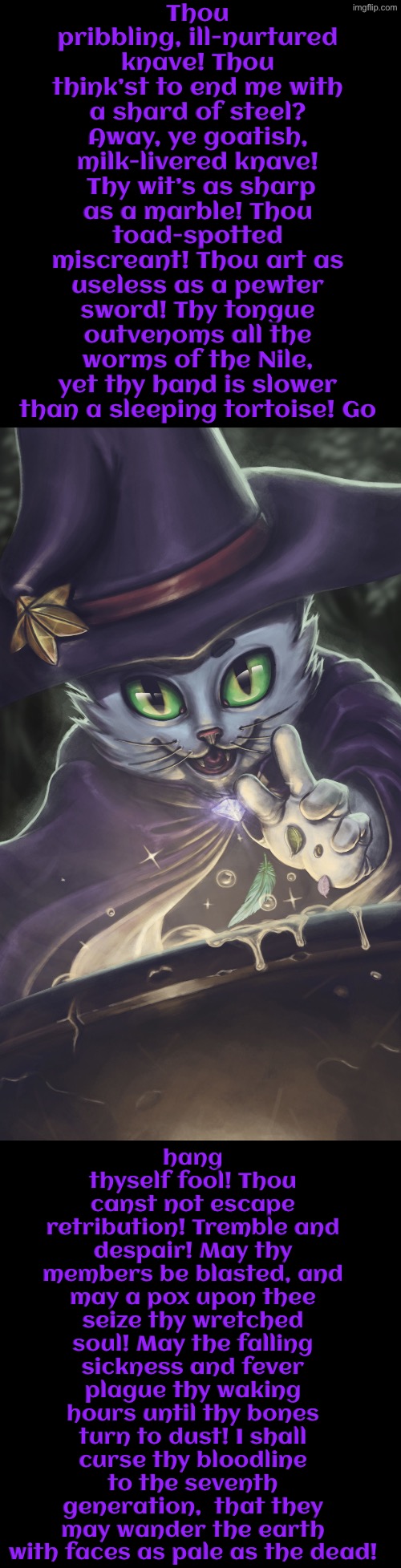 I Shall Curse Thy Bloodline To The Seventh Generation | Thou pribbling, ill-nurtured knave! Thou think’st to end me with a shard of steel? Away, ye goatish, milk-livered knave!  Thy wit’s as sharp as a marble! Thou toad-spotted miscreant! Thou art as useless as a pewter sword! Thy tongue outvenoms all the worms of the Nile, yet thy hand is slower than a sleeping tortoise! Go; hang thyself fool! Thou canst not escape retribution! Tremble and despair! May thy members be blasted, and may a pox upon thee seize thy wretched soul! May the falling sickness and fever plague thy waking hours until thy bones turn to dust! I shall curse thy bloodline to the seventh generation,  that they may wander the earth with faces as pale as the dead! | image tagged in cats,medieval memes,wizards,cursed,you have sinned child prepare to feel the sweet embrace of death,insults | made w/ Imgflip meme maker